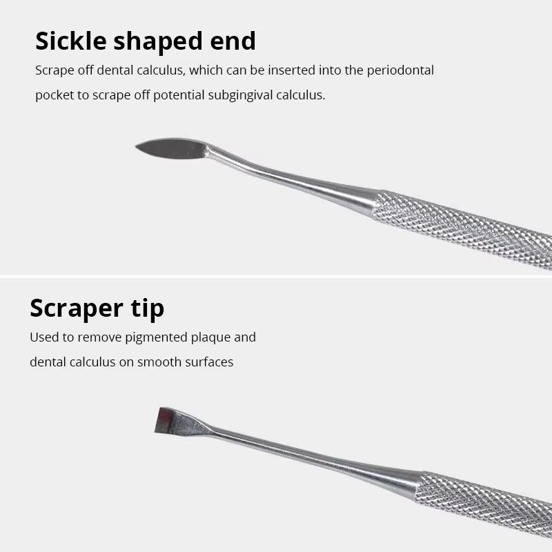 Stainless Steel Dog Dental Cleaning Tool - Tartar Remover and Breath Freshener for Pets