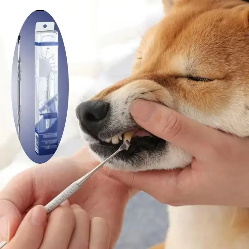 Stainless Steel Dog Dental Cleaning Tool - Tartar Remover and Breath Freshener for Pets