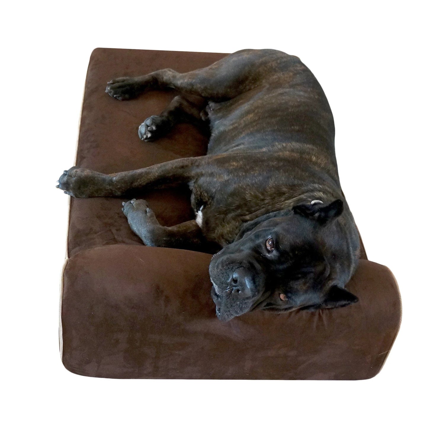 Original Bully Bed Orthopedic Dog Bed