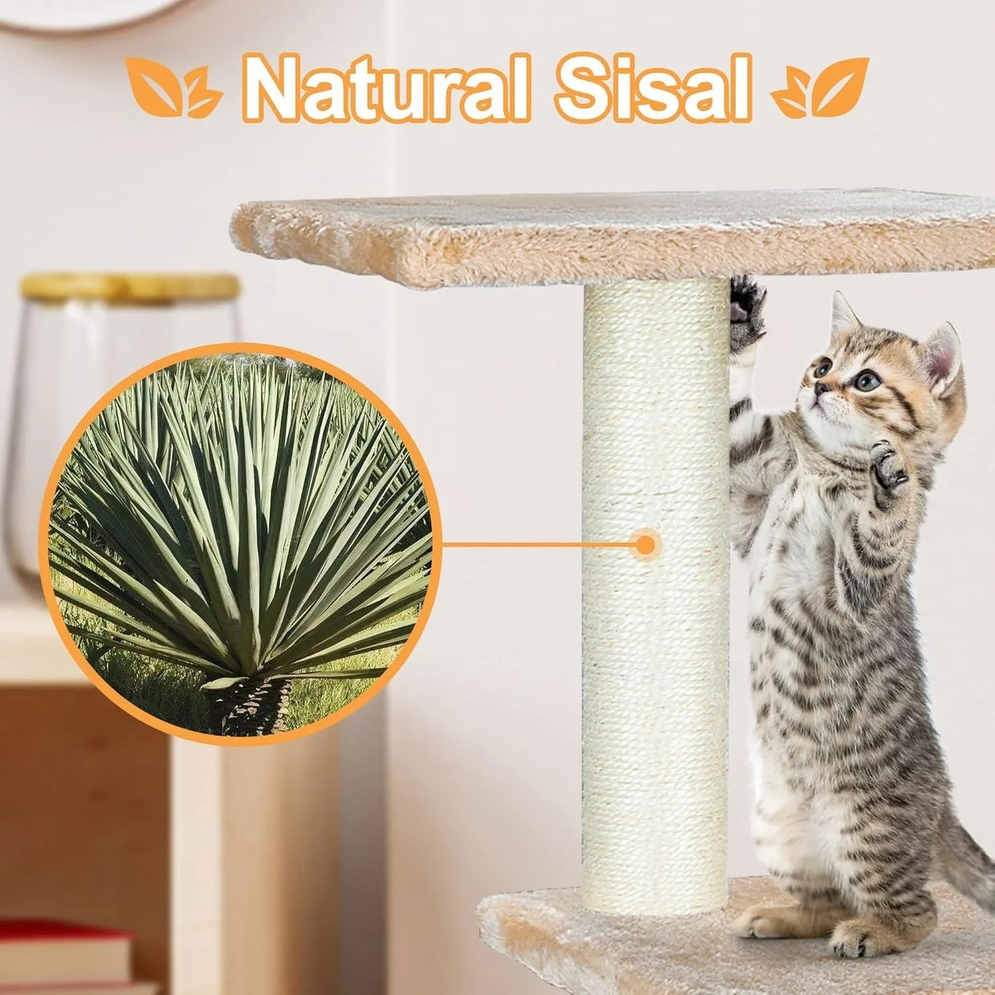 36 Inches Cat Trees for Kittens Cat Furniture Towers with Scratching Posts, Double Perches, and Roomy House Kitty Cat