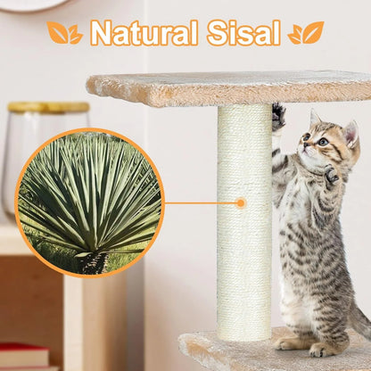 36 Inches Cat Trees for Kittens Cat Furniture Towers with Scratching Posts, Double Perches, and Roomy House Kitty Cat