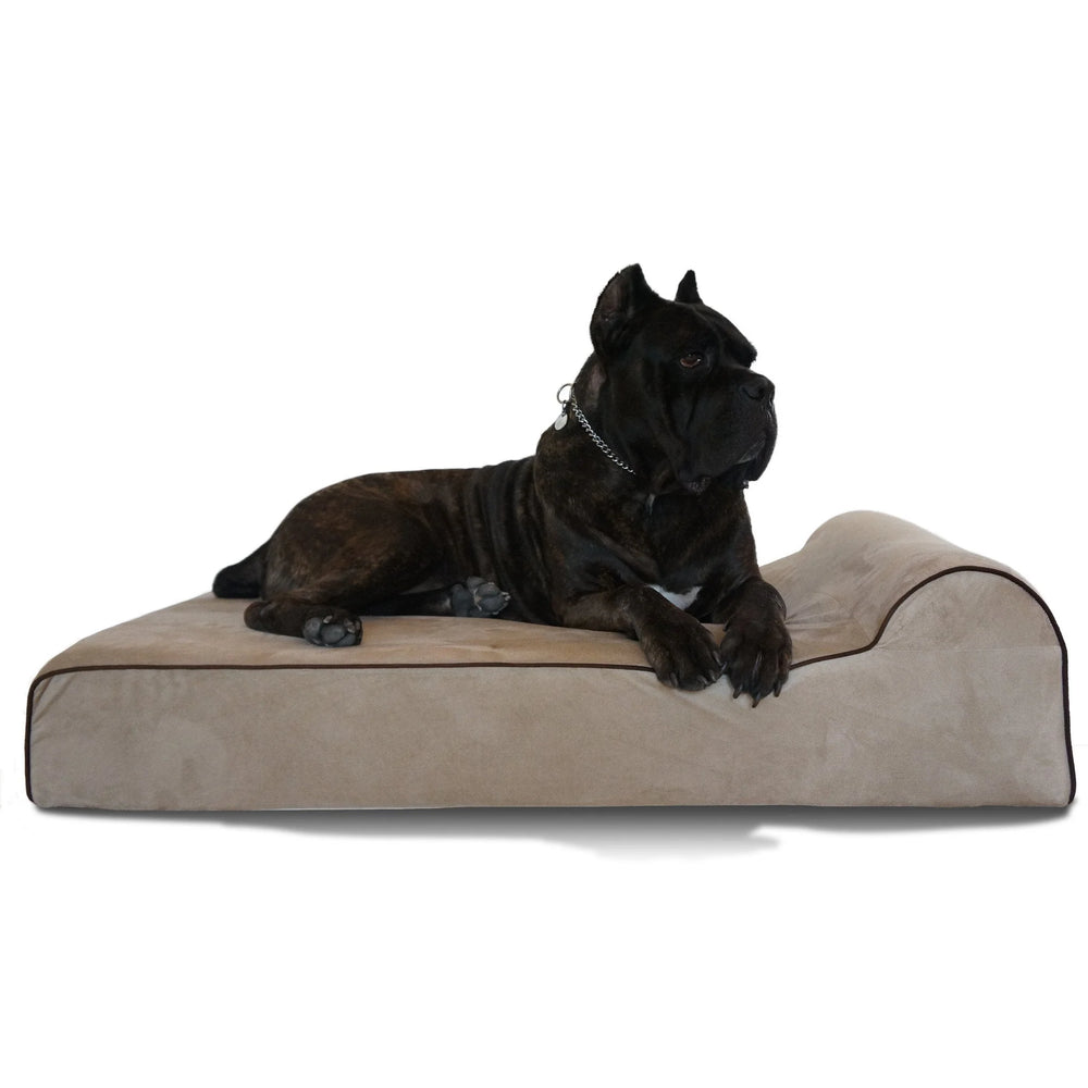 Original Bully Bed Orthopedic Dog Bed