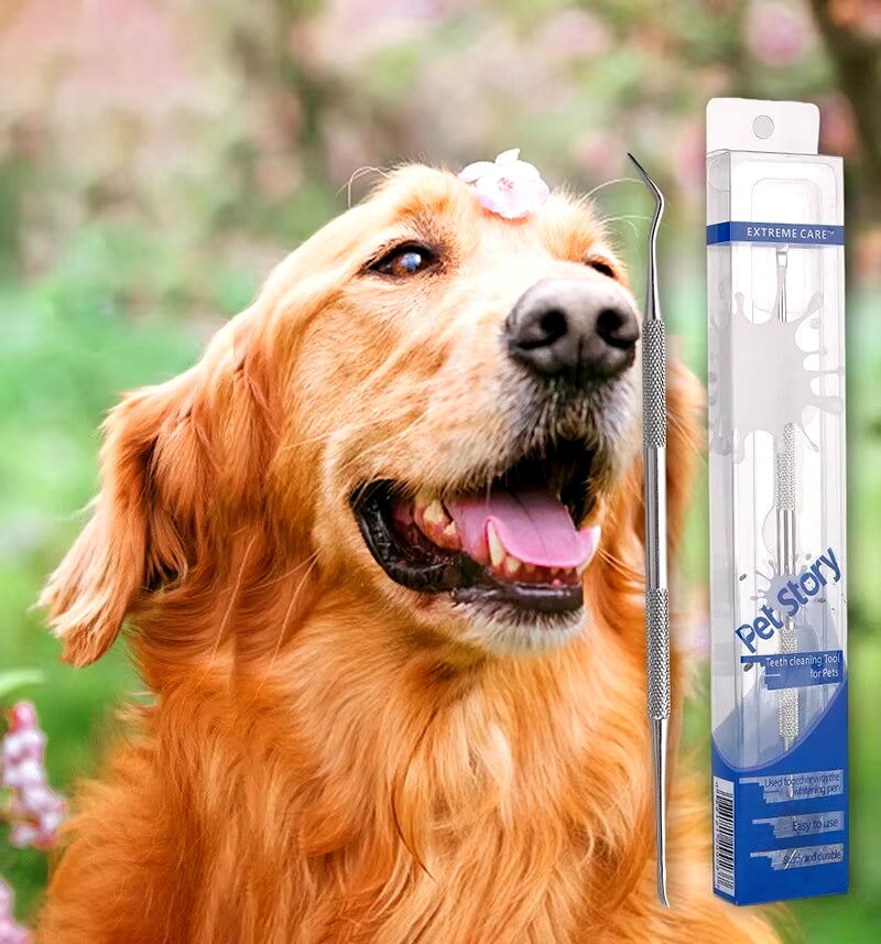 Stainless Steel Dog Dental Cleaning Tool - Tartar Remover and Breath Freshener for Pets