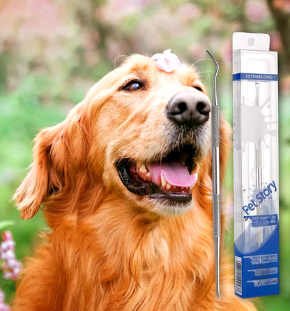 Stainless Steel Dog Dental Cleaning Tool - Tartar Remover and Breath Freshener for Pets