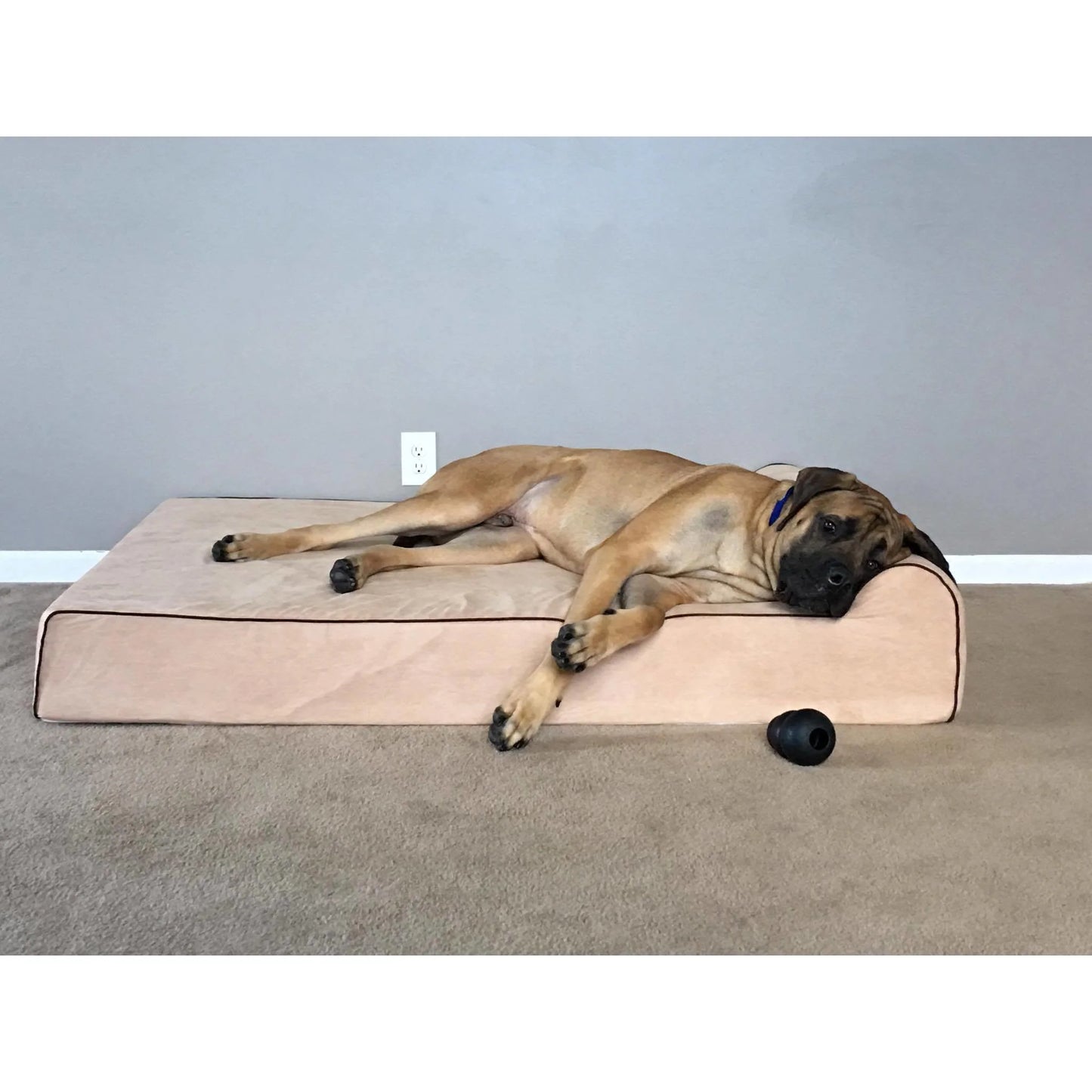Original Bully Bed Orthopedic Dog Bed
