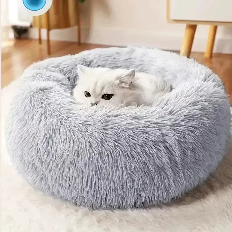 Plush Comfort Pet Bed